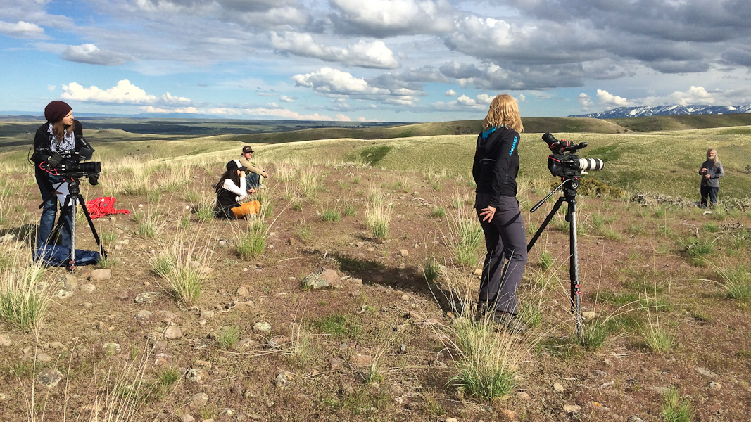 MCS at Tippet Rise