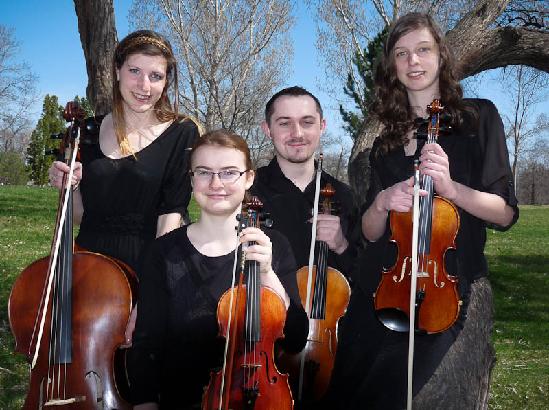 Magic City Strings sitting on a tree in Pioneer Park